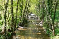 142-El-Riu-en-la-Part-Alta