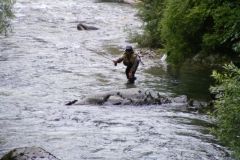 264-Oriol-Montana