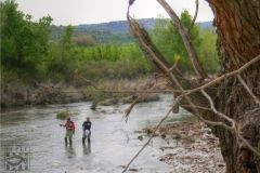 318-genis-besora