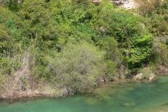 325-pere-madruga-1