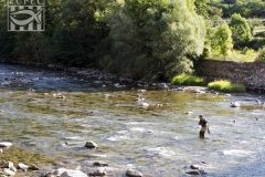 380-joan-carulla-pescant