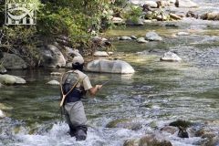 384-pescant-en-el-sector-alt-del-garona