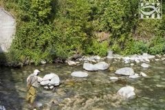 385-un-aigua-molt-transparent