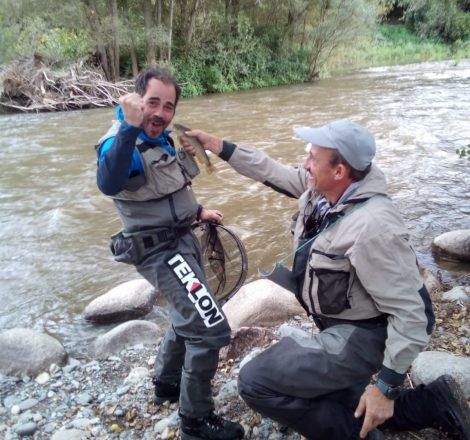 Campeon