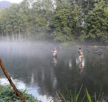 IMG-20210905-WA0074