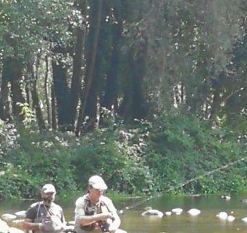 IMG-20210905-WA0084