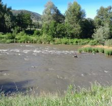 IMG-20230702-WA0000