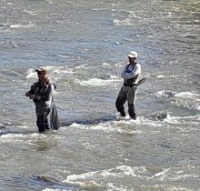 IMG-20230702-WA0037