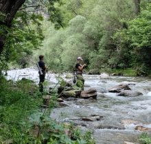 IMG-20240622-WA0038