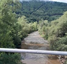 IMG-20240707-WA0005