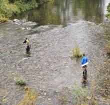 IMG-20240907-WA0039