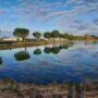 IMG-20241123-WA0039