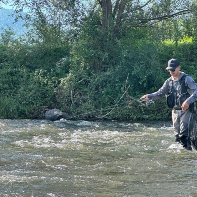 Pescant 1