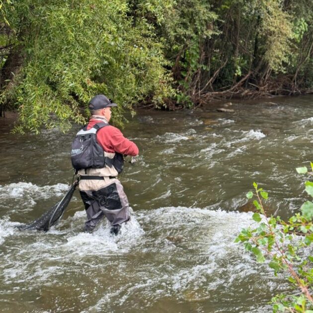Pescant 3