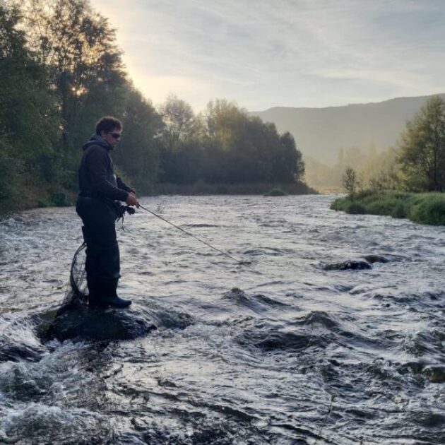 Pescant2