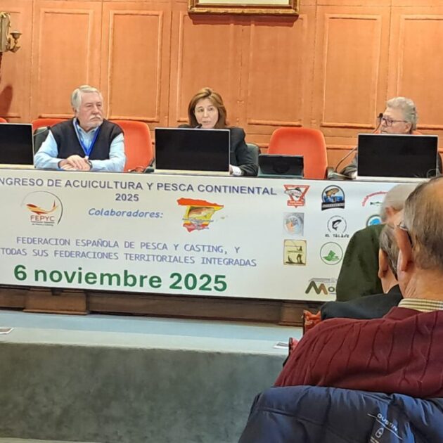 Imagen de WhatsApp 2025-11-06 a las 18.13.25_541e61d8