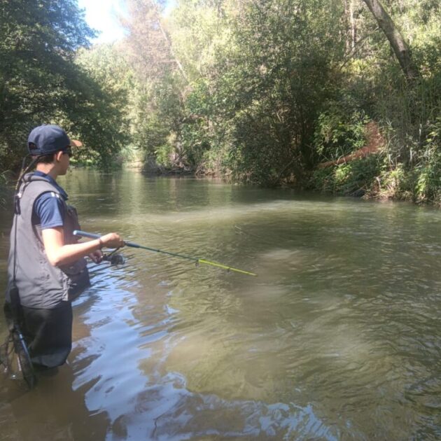 IMG-20260613-WA0022