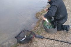 IVCATLLAC-11